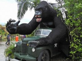 Beto Carrero World