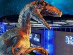 Joinville recebe exposição gratuita com réplicas de dinossauros de até 13 metros; confira horários