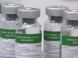 Joinville terá teste rápido e vacina para dengue; entenda como serão aplicados vacinas contra a dengue