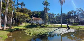 Museu de Arte de Joinville recebe evento Jardim Criativo neste domingo