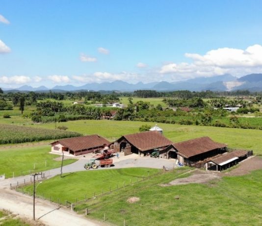 Vereadores pedem retorno da Secretaria de Agricultura em Joinville