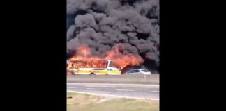 Ônibus pegando fogo na BR-101