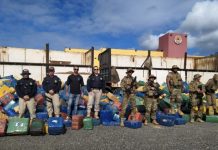 Policiais encontram 24 toneladas de maconha escondidas