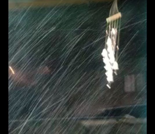 neve