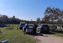 Corpo decapitado é encontrado enterrado em mata, em Balneário Barra do Sul corpo decapitado