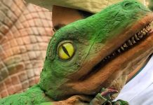 dinossauro