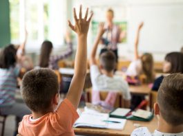 Políticos catarinenses querem proibir linguagem neutra em escolas no Brasil