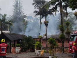 Fritadeira pega fogo e restaurante é tomado por chamas em Joinville fogo