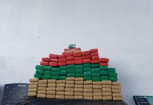 80 quilos de maconha Joinville