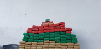 80 quilos de maconha Joinville