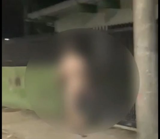 pelado na