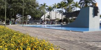 Feiras do fim de semana em Joinville têm atrações voltadas para crianças