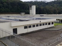 presidio feminino obras