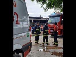 criança atacada cachorro