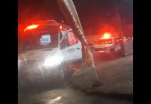 assassinado em joinville - pm jlle