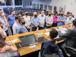 Câmara de Vereadores aprova projeto que proíbe linguagem neutra em Joinville