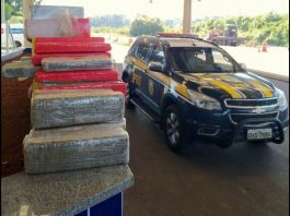 Jovens são presos com 93kg de maconha no porta-malas na BR-282, em Campos Novos