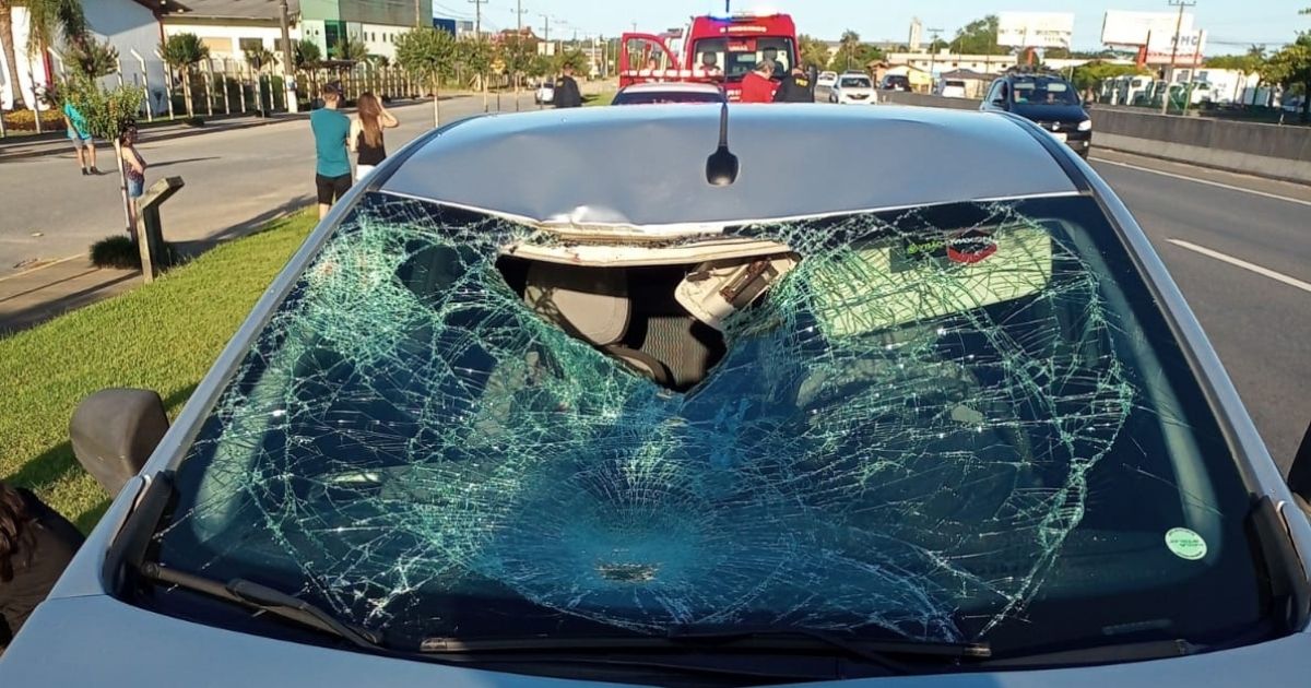 Homem Fica Em Estado Grave Após Ser Atropelado Na Br 280 Em Guaramirim 