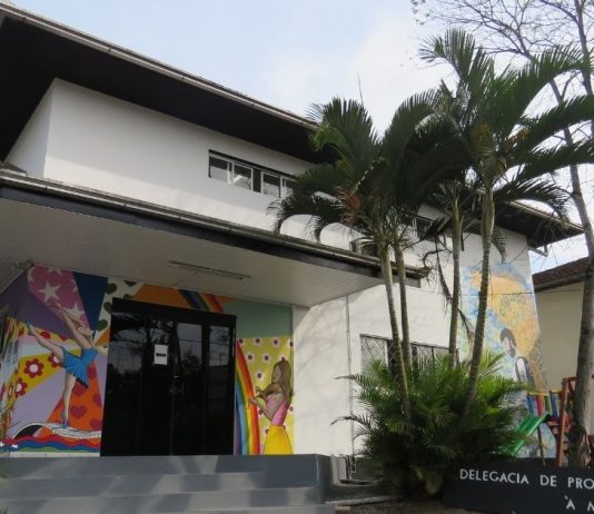 delegacia da mulher em joinville