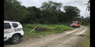 Em Araquari, corpos são encontrados amarrados