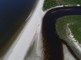 mancha mar são francisco do sul