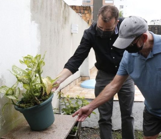 Vigilância alerta para proliferação do Aedes Aegypti em Joinville