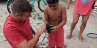 Filhote de cachorro cai em bueiro e é resgatado pelos bombeiros no Litoral Norte