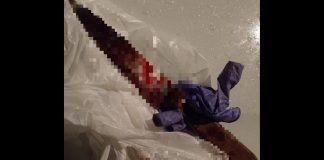 Após esfaquear companheira, homem é preso no Vale do Itajaí