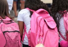 bolsa estudante em sc