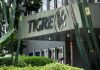 tigre oferece curso grauito