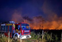 Incêndio atinge um alqueire de área de reflorestamento na Vila Ruthes, em Mafra