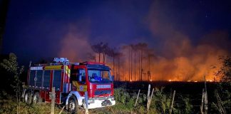 Incêndio atinge um alqueire de área de reflorestamento na Vila Ruthes, em Mafra