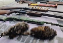 VÍDEO - Três homens são presos com armas, aves mortas e objetos usados na caça ilegal em Jaraguá do Sul