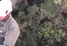 VÍDEO – Casal é resgatado pelo helicóptero dos bombeiros após se perder em trilha em SC