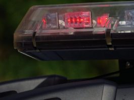 Homem agride policial após ser preso por violência doméstica em Jaraguá do Sul