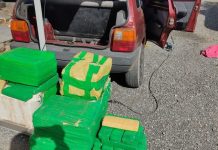 PRF encontra 186 quilos de maconha em porta-malas de carro na BR-101, em Joinville