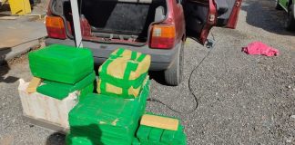 PRF encontra 186 quilos de maconha em porta-malas de carro na BR-101, em Joinville