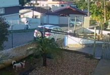 VÍDEO – Câmera registra momento em que jovem bate bicicleta contra muro em Rio do Sul