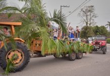 festa do colono