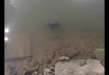 Homem encontra corpo em rio enquanto pescava em Balneário Piçarras