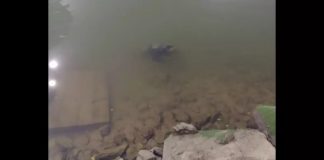 Homem encontra corpo em rio enquanto pescava em Balneário Piçarras