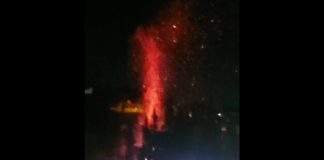 Vegetação é atingida por fogo no bairro Paranaguarmirim, em Joinville