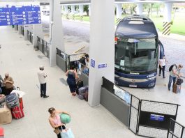 onibus rodoviaria rodoviario transporte