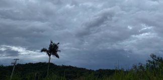 previsao tempo