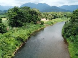 edital Aguas para sempre