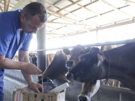 cursos para produtores rurais