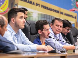 revisao do plano diretor