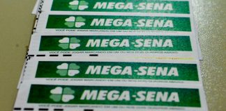 Mega-Sena: bolão de Joinville acerta quina e fatura mais de R$ 100 mil mega 2540