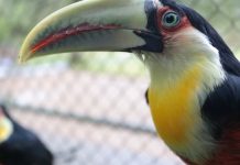 Zoobotânico de Joinville