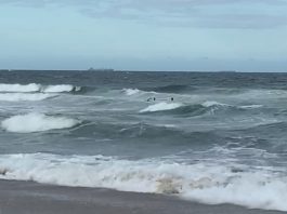 VÍDEO – Mulher é resgatada após se afogar na Praia Brava, em Itajaí